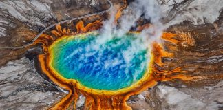 Yellowstone Threat - What You Need to Know
