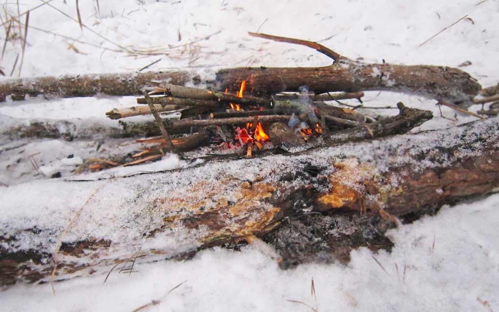 How to Start a Fire With Wet Wood Survival Daily