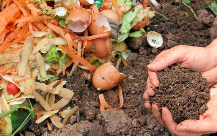Survival Gardening: Learning to Compost