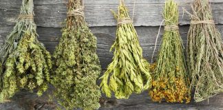 Drying Herbs...the Right Way