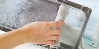 Surprising Uses of Dryer Lint
